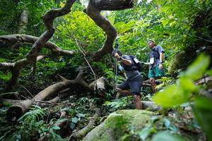 BIB: 
                            <button type="button" onclick="openModal(19407810)" class="btn btn-primary btn-sm float-right btn-popup" data-toggle="modal" data-target=".modal-high-quality">
                        <i class="fas fa-shopping-cart"></i> Add to Cart
                    </button>
                                            <button type="button" onclick="isThisMe(19407810, true)" class="btn btn-success btn-sm float-right btn-popup btn-isme hidden" data-toggle="tooltip" data-placement="bottom" title="นี่คือรูปของคุณใช่ไหม คลิกที่นี่เพื่อเอาเข้าอัลบั้ม">
                        <i class="fas fa-plus"></i> Add to album
                    </button>
                    <button type="button" onclick="isThisMe(19407810, false)" class="btn btn-warning btn-sm float-right btn-popup btn-isnotme hidden">
                        <i class="fas fa-ban"></i> Remove from album
                    </button>